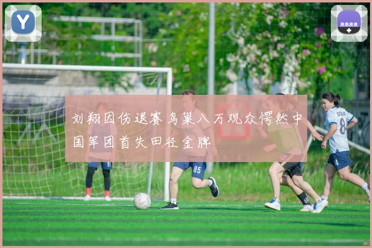 刘翔因伤退赛鸟巢八万观众愕然中国军团首失田径金牌