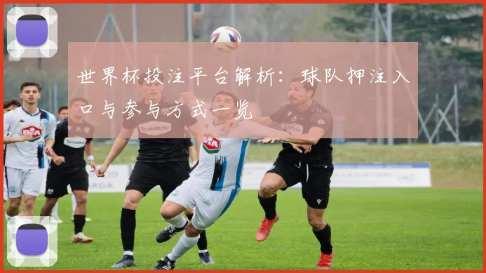 世界杯投注平台解析:球队押注入口与参与方式一览