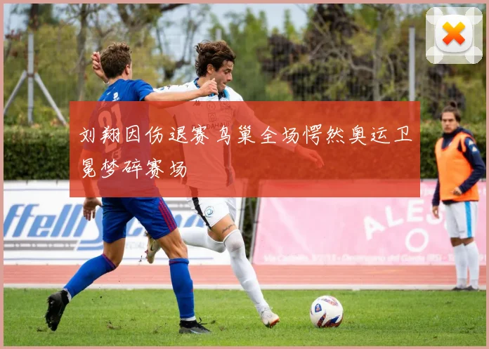 刘翔因伤退赛鸟巢全场愕然奥运卫冕梦碎赛场