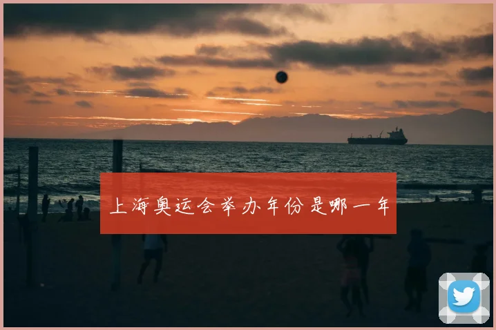 上海奥运会举办年份是哪一年
