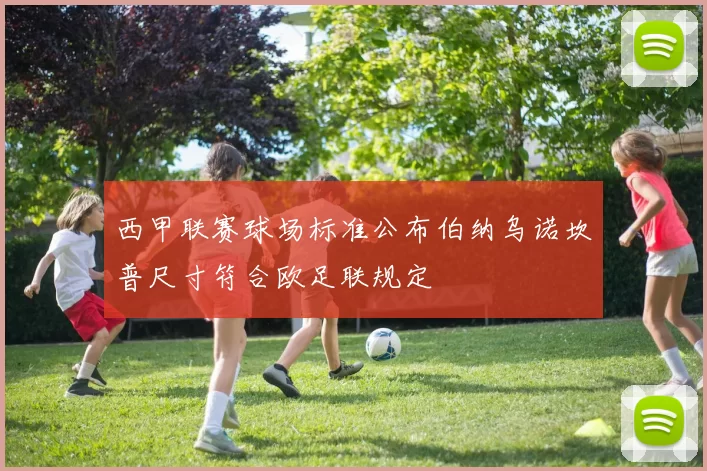 西甲联赛球场标准公布伯纳乌诺坎普尺寸符合欧足联规定